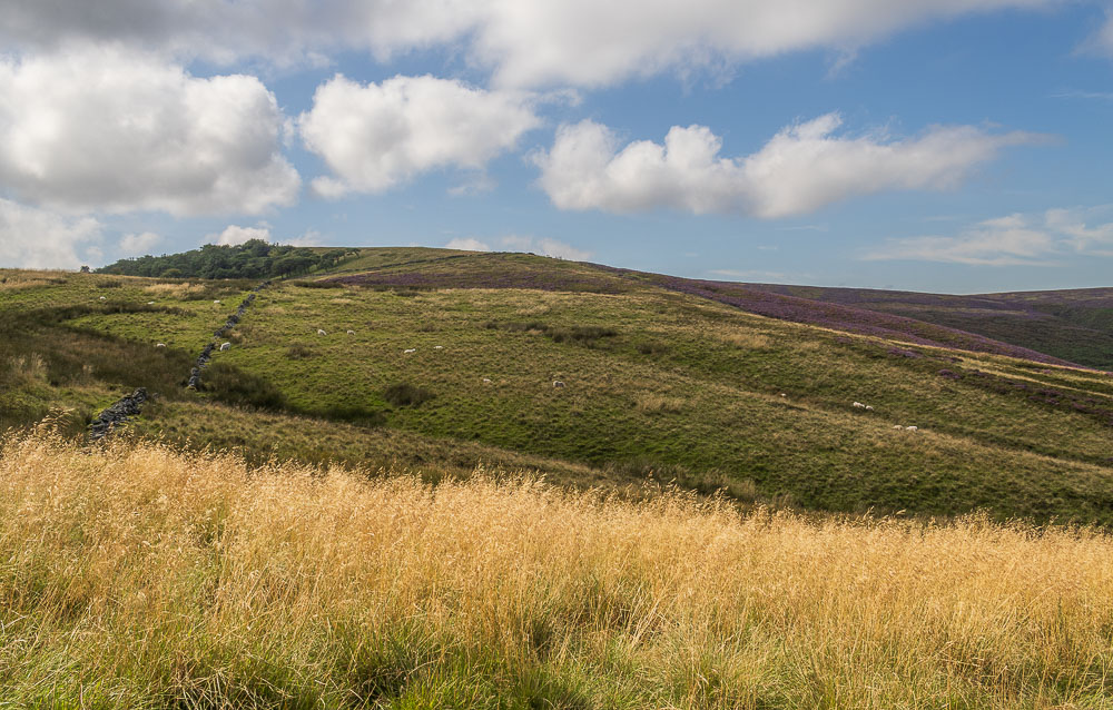 Burbage Edge Burbage Edge